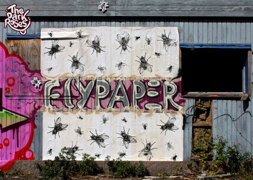 FlyPaper... by DoggieDoe - The Dark Roses - Farum, Denmark 3. June 2010